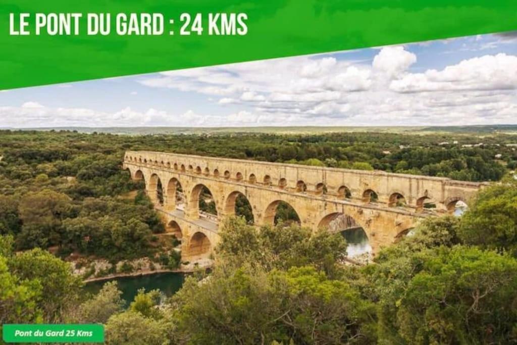 La Balance Des Doms - 1 Min Du Palais Des Papes - Intra-Muros Avignon Eksteriør bilde