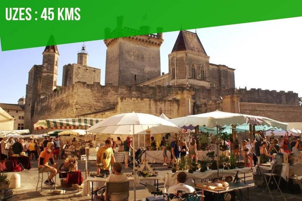 La Balance Des Doms - 1 Min Du Palais Des Papes - Intra-Muros Avignon Eksteriør bilde